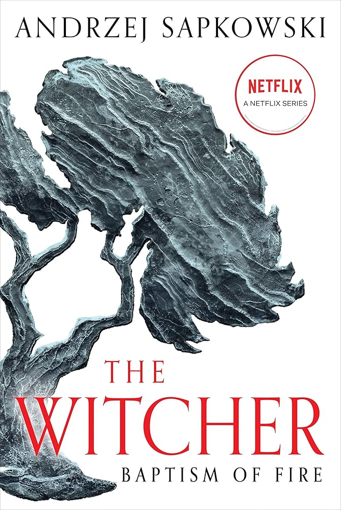 Baptism of Fire (The Witcher, 5) cover image