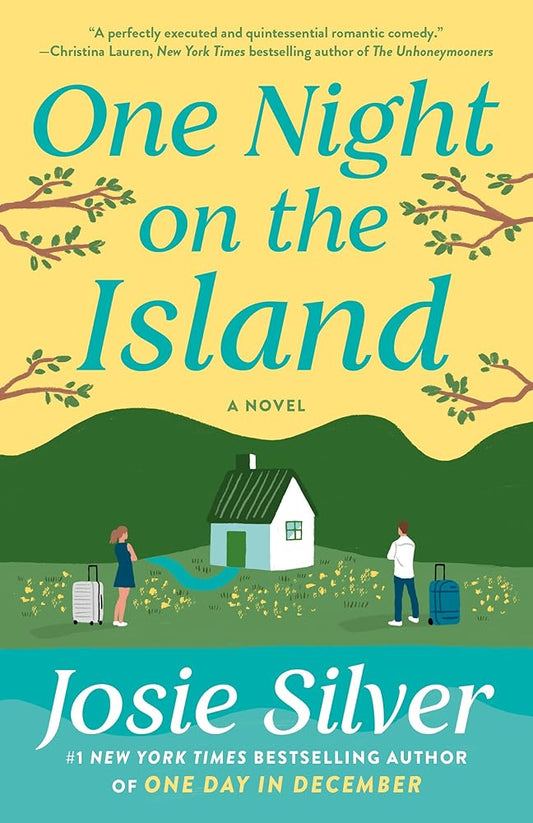 One Night on the Island: A Novel cover image